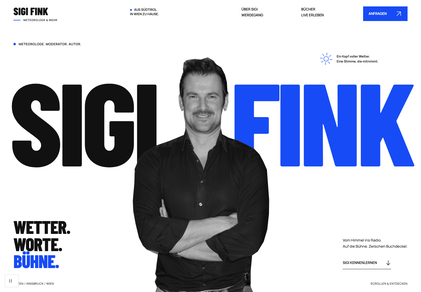 Independent website concept for SIGI FINK with bold blue typography and portrait photography