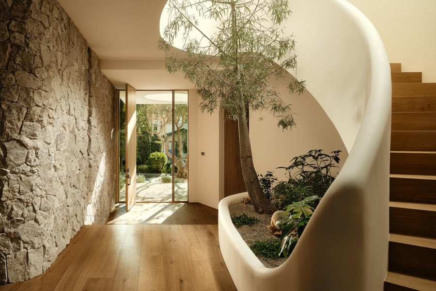 Warmer Innenraum mit Wendeltreppe und Baum